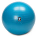 Body Solid BSTSB Blue Stability Ball